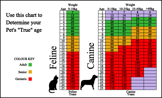 Corinth Vet Clinic - Surveillance Screening