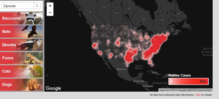 rabies cases graphic